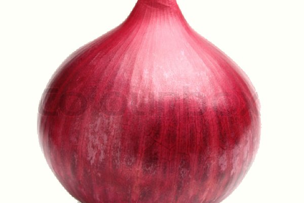 Omg omg onion link